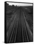 Railroad Tracks-Andreas Feininger-Framed Stretched Canvas