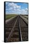 Railroad Tracks-W. Perry Conway-Framed Stretched Canvas