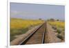 Railroad Tracks-W. Perry Conway-Framed Premium Photographic Print