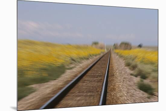 Railroad Tracks-W. Perry Conway-Mounted Premium Photographic Print