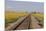 Railroad Tracks-W. Perry Conway-Mounted Premium Photographic Print