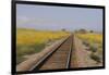 Railroad Tracks-W. Perry Conway-Framed Premium Photographic Print