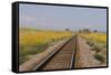 Railroad Tracks-W. Perry Conway-Framed Stretched Canvas