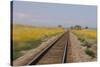 Railroad Tracks-W. Perry Conway-Stretched Canvas