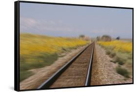 Railroad Tracks-W. Perry Conway-Framed Stretched Canvas