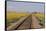 Railroad Tracks-W. Perry Conway-Framed Stretched Canvas