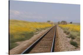 Railroad Tracks-W. Perry Conway-Stretched Canvas