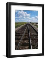 Railroad Tracks-W. Perry Conway-Framed Photographic Print