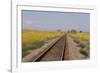 Railroad Tracks-W. Perry Conway-Framed Photographic Print