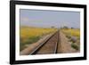 Railroad Tracks-W. Perry Conway-Framed Photographic Print