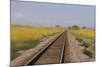 Railroad Tracks-W. Perry Conway-Mounted Photographic Print
