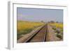 Railroad Tracks-W. Perry Conway-Framed Photographic Print