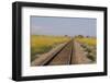 Railroad Tracks-W. Perry Conway-Framed Photographic Print