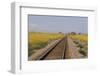 Railroad Tracks-W. Perry Conway-Framed Photographic Print