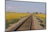 Railroad Tracks-W. Perry Conway-Mounted Photographic Print