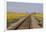 Railroad Tracks-W. Perry Conway-Framed Photographic Print