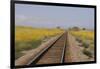 Railroad Tracks-W. Perry Conway-Framed Photographic Print