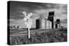 Railroad with Large Grain Stores-Rip Smith-Stretched Canvas