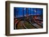 Rails-Andr? Burian-Framed Photographic Print