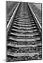 Rails-Jetrel-Mounted Photographic Print