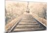 Railway Bound-Patricia Pinto-Mounted Art Print
