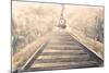 Railway Bound-Patricia Pinto-Mounted Art Print