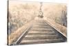 Railway Bound-Patricia Pinto-Stretched Canvas