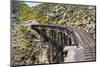 Railway Bridge on Taieri Gorge New Zealand-BackyardProductions-Mounted Photographic Print