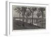 Railway Bridge over the River Bremer, Queensland, Australia-null-Framed Giclee Print