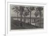 Railway Bridge over the River Bremer, Queensland, Australia-null-Framed Giclee Print