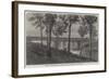 Railway Bridge over the River Bremer, Queensland, Australia-null-Framed Giclee Print