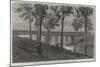Railway Bridge over the River Bremer, Queensland, Australia-null-Mounted Giclee Print