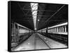 Railway Carriages-null-Framed Stretched Canvas