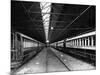 Railway Carriages-null-Mounted Photographic Print