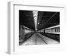 Railway Carriages-null-Framed Photographic Print