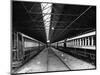 Railway Carriages-null-Mounted Photographic Print