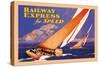 Railway Express for Speed-Josef Fenneker-Stretched Canvas