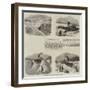 Railway Snow Plough-null-Framed Giclee Print