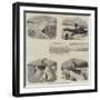 Railway Snow Plough-null-Framed Giclee Print