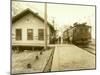 Railway Station at Tye, WA-Asahel Curtis and Walter Miller-Mounted Giclee Print