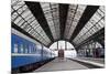 Railway Station with Trains-Gladkov-Mounted Photographic Print