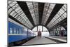 Railway Station with Trains-Gladkov-Mounted Photographic Print