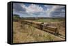 Railway Train-Jane Sweeney-Framed Stretched Canvas