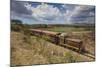 Railway Train-Jane Sweeney-Mounted Photographic Print