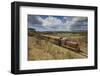 Railway Train-Jane Sweeney-Framed Photographic Print