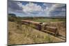 Railway Train-Jane Sweeney-Mounted Photographic Print