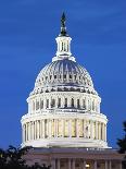 U.S. Capitol dome-Raimund Koch-Laminated Photographic Print