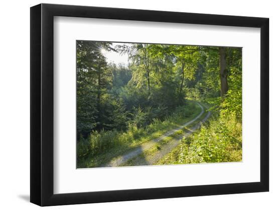 Premium Photographic Print, , large