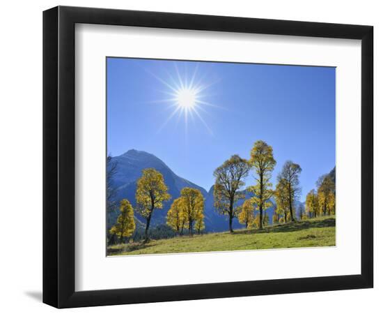 Premium Photographic Print, , large
