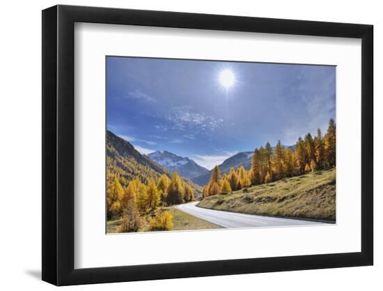 Premium Photographic Print, , large